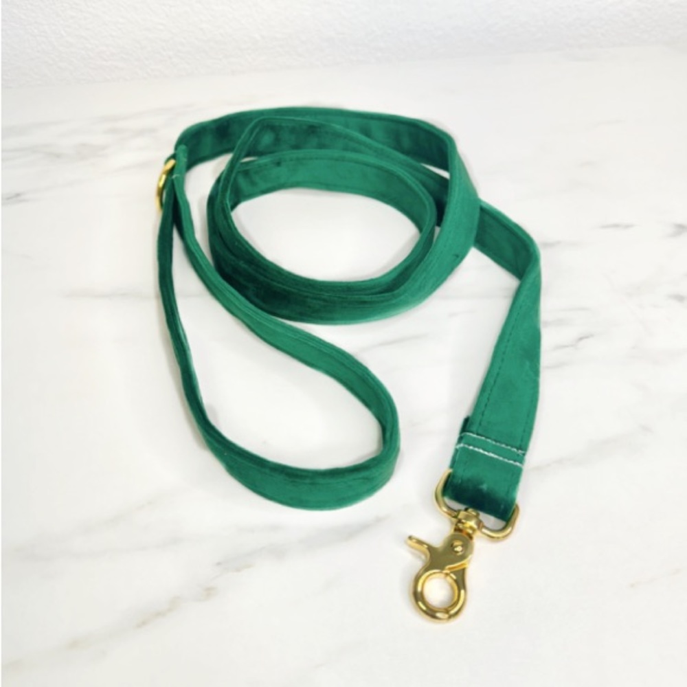 Green Velvet Dog Leash Luxe Pet Leash